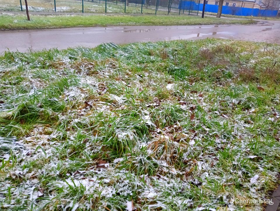 ������ ���� � �������: ������ ����������� � ��� � ������