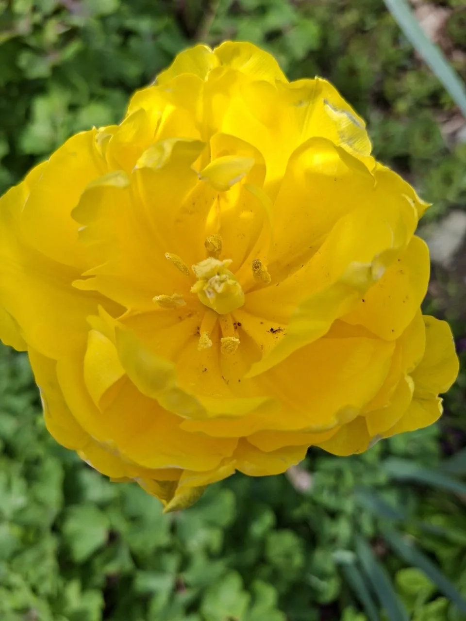 О погоде на 16 апреля . В Краснодарском крае переменная облачность О погоде на 16 апреля . В Краснодарском крае переменная облачность