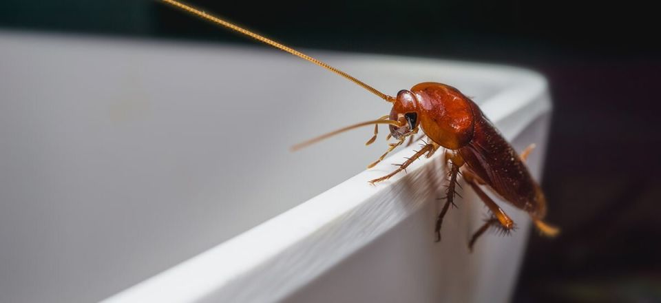 �� ����������: ���-15 �������� ������� � ����� ����