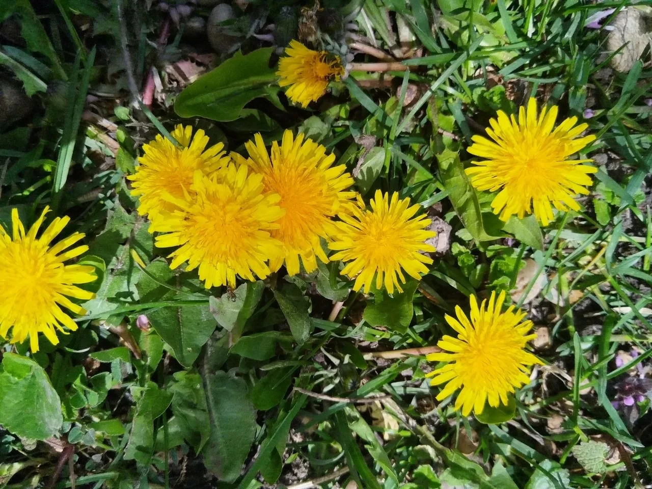 О погоде на 16 апреля . В Краснодарском крае переменная облачность О погоде на 16 апреля . В Краснодарском крае переменная облачность