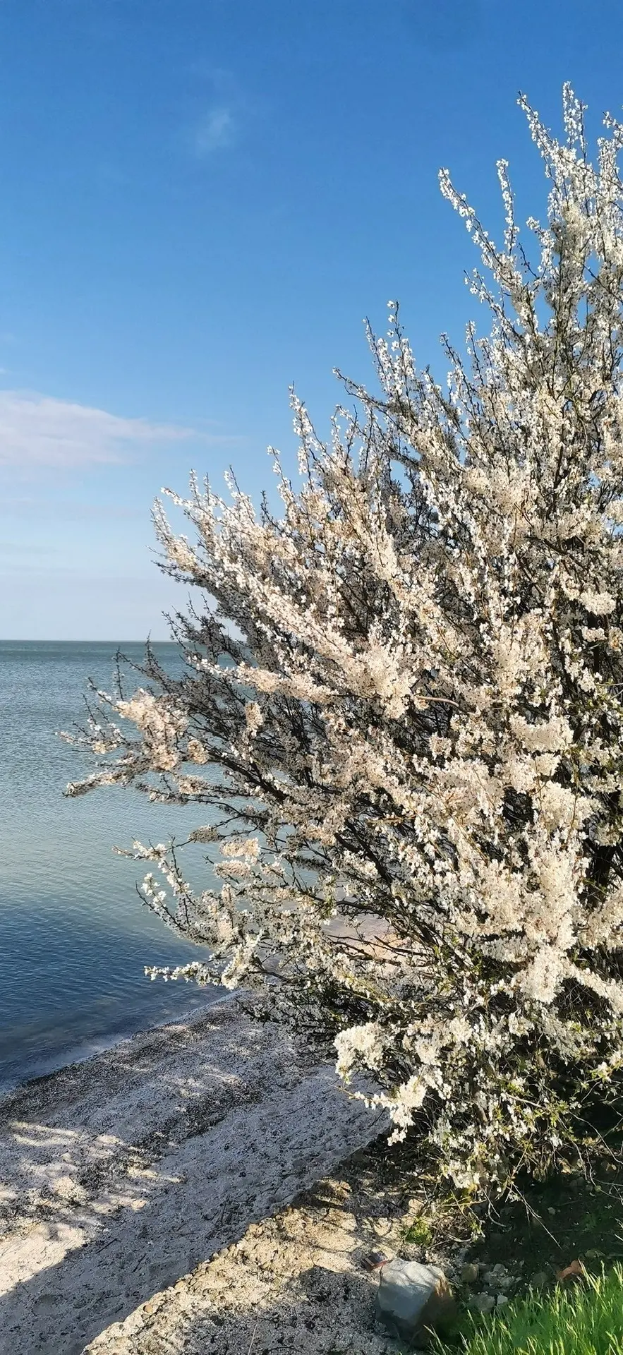 О погоде на 16 апреля . В Краснодарском крае переменная облачность О погоде на 16 апреля . В Краснодарском крае переменная облачность