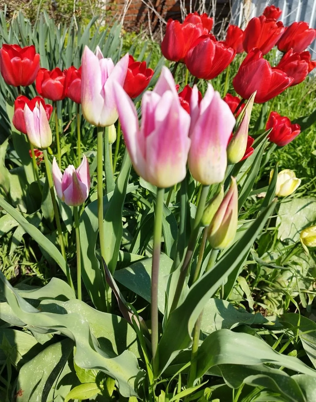 О погоде на 16 апреля . В Краснодарском крае переменная облачность О погоде на 16 апреля . В Краснодарском крае переменная облачность