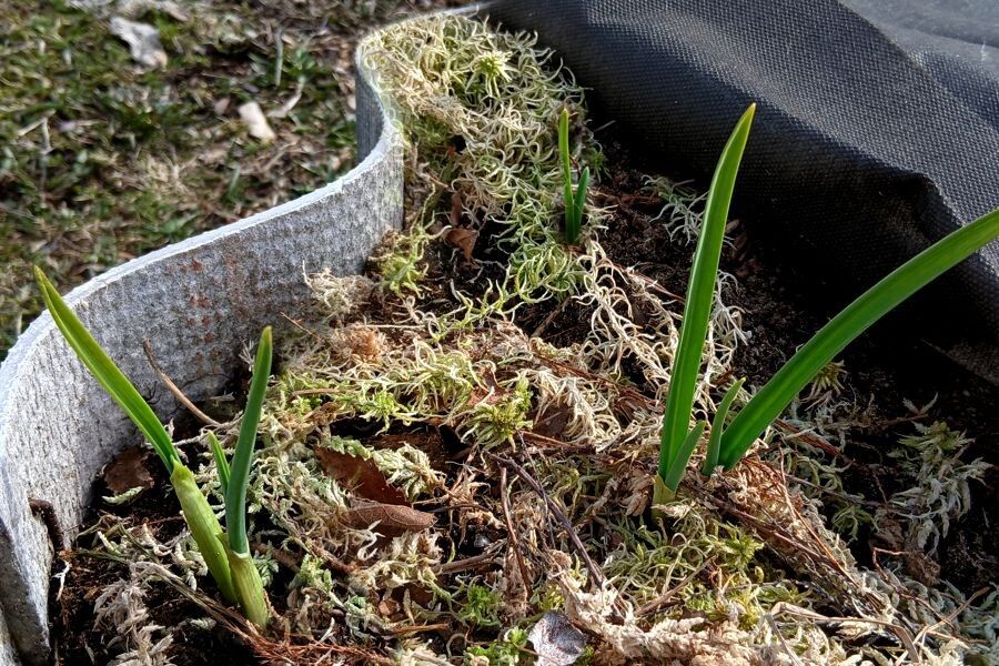 ��� ��������� ������������� ������ ������: 6 ����������� ��������