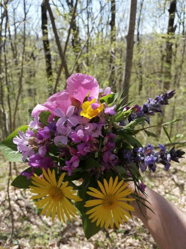 � ������ �� 16 ������ . � ������������� ���� ���������� ����������