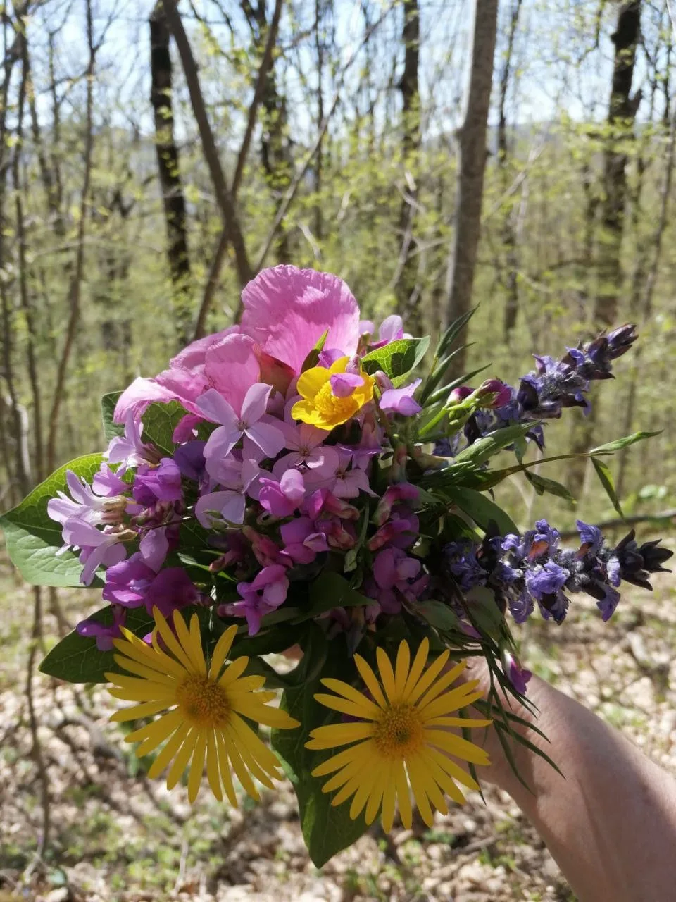 О погоде на 16 апреля . В Краснодарском крае переменная облачность