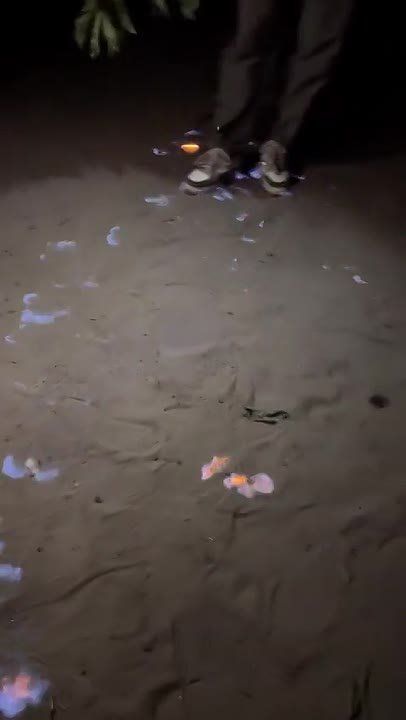 � �������� �������� ��������� ���� � ���������, ��������� ����� ������ �� ������� �����