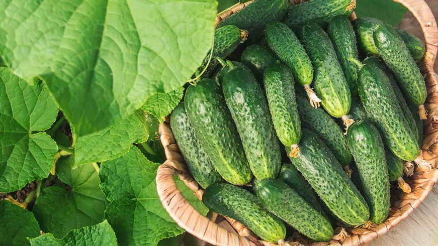 ��� ��������� ��������� ������: 7 ������ ��� ������������ ������