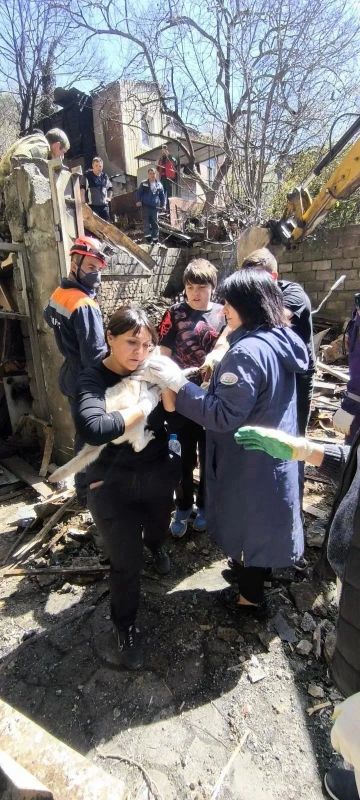 � ������ ����������� �������-���ѻ ���������� ��������� ������ �� ����� ������������ � ���������� ����������� ����� ����