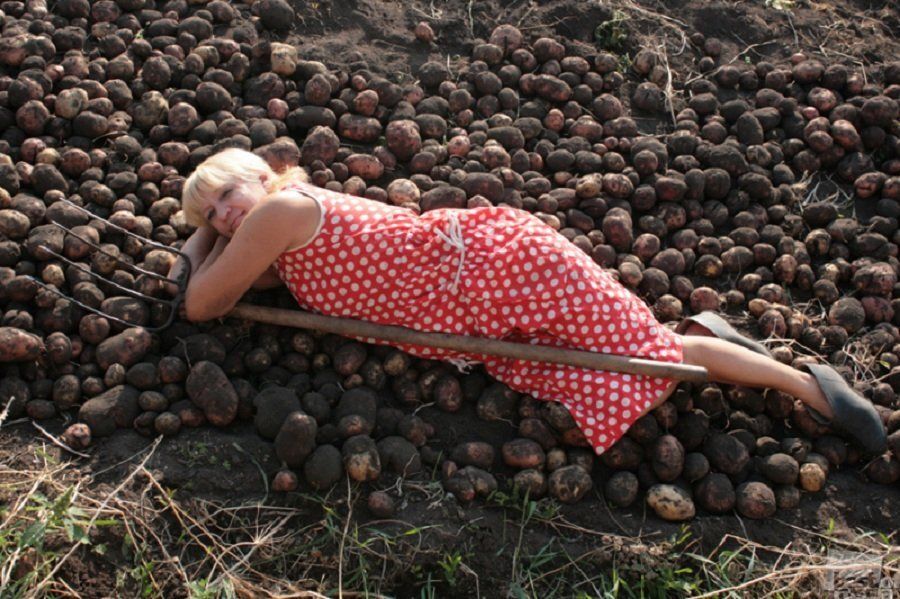 ��� ��������� ��������� ���� �� ��������� ������ �������