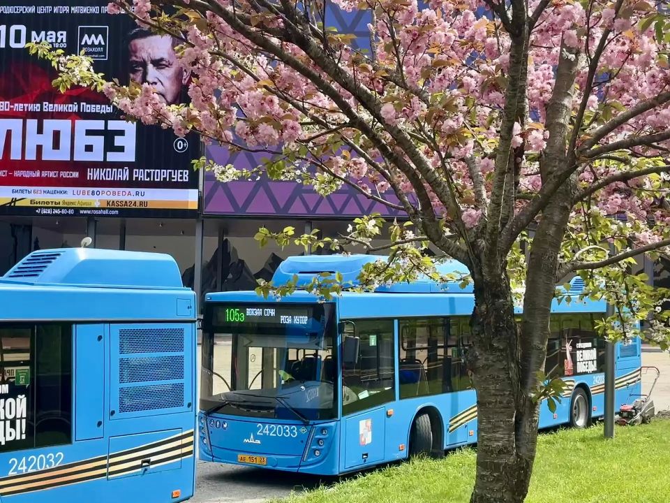 ��������, ��������� � �������� ����������