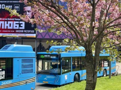 ��������, ��������� � �������� ����������