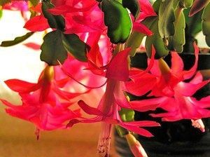 ���������: ��������� ������ ���� � ������� ��� �����