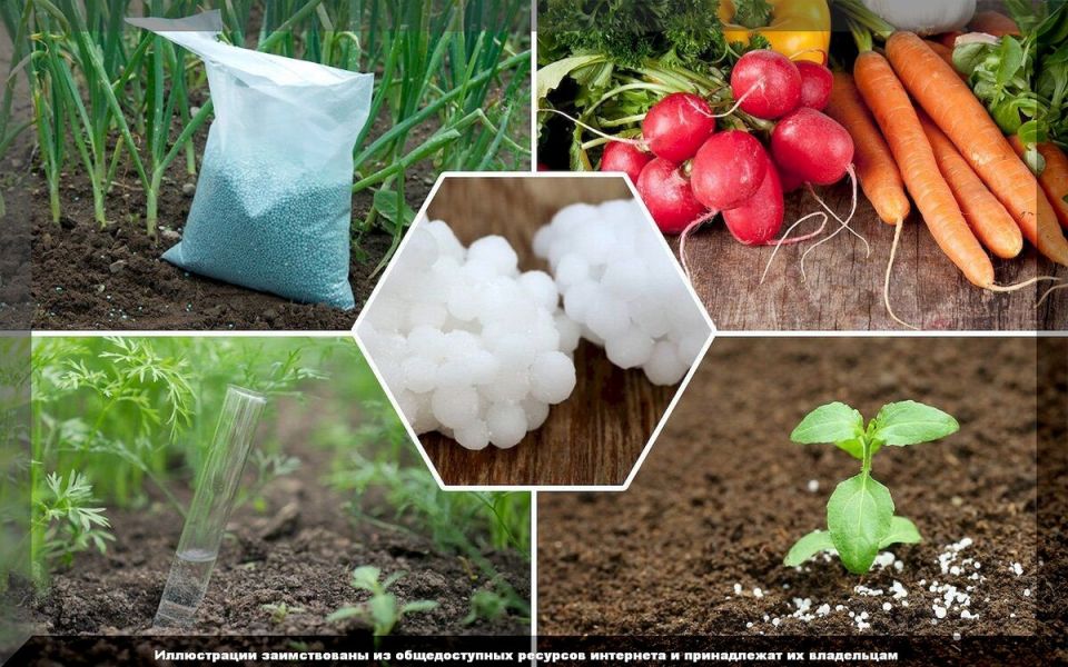 ����������� ��������� ��� ��������: ��� �������� �������� ������