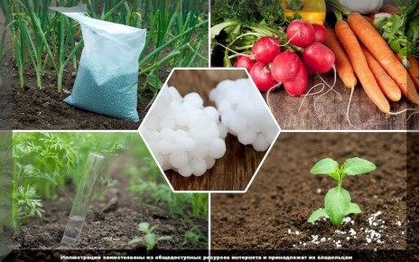 ����������� ��������� ��� ��������: ��� �������� �������� ������