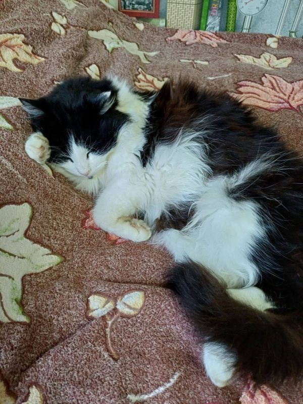 ������ ����, ������!. ��������� +20 ��