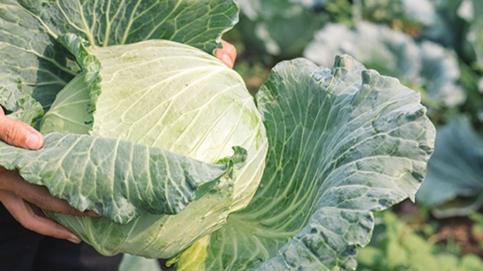 ��������� ������: ��� ��������� ������� � ���� �� �����