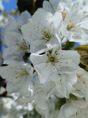 � ������ �� 19 ������ . � ������������� ���� �������