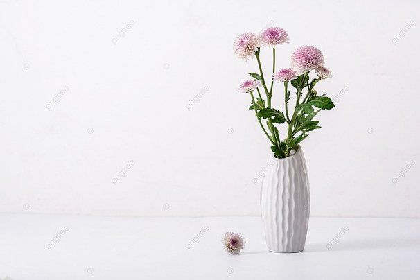 ��� ��������� ����� � 2025 ����: ������� ����������� ��� ����������