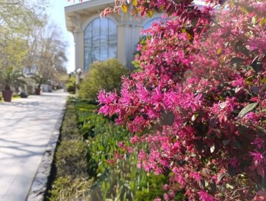 ������ ����, ������� �����!