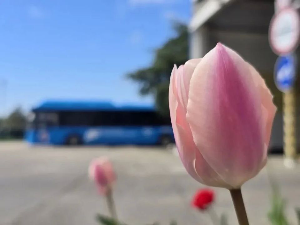 ������ ����!. �����������! ����� � ���