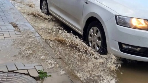 ����� � ����� ����������� ��������!