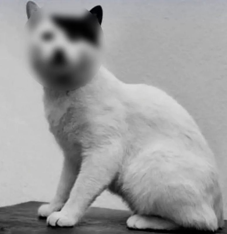 ��������� �������� ��� ���������� ������ ���� �� ���������� ���� � �����, �������� �� �������