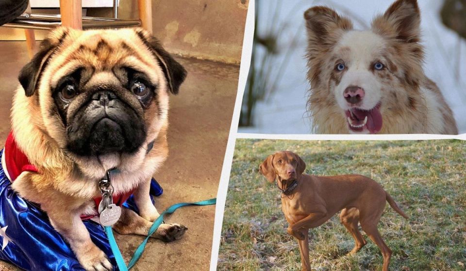 ������-�������: 8 �����, ������� ������ ������� ������ ��������