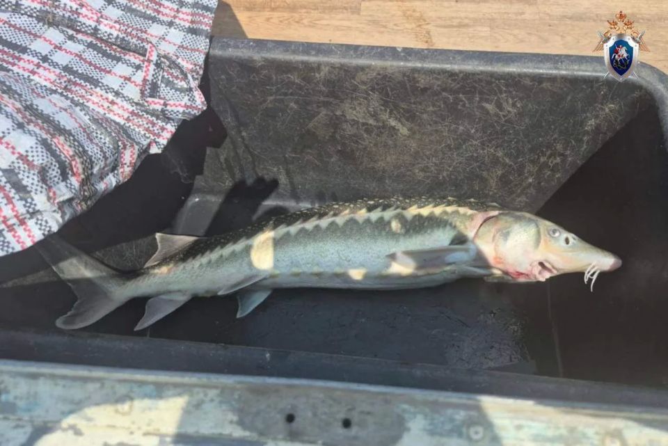 � ���� ������� ������ ���������� � ���������� ������ ������