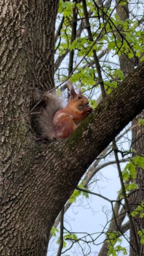 � ������ �� 22 ������ . � ������������� ���� ������� � ������������