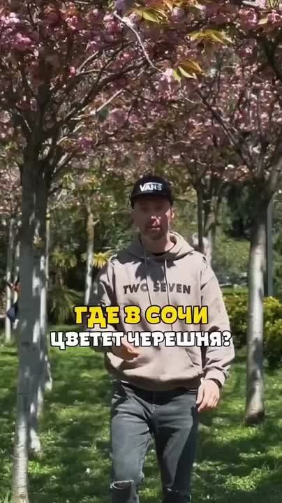 �����-������� ��� ����� ������� ����������� ������ �����? � �������� ������� ����� ������������ �������, � � ��� ��� ��� ���� ���� ������� ��� ����� �����-������� ������������� ����