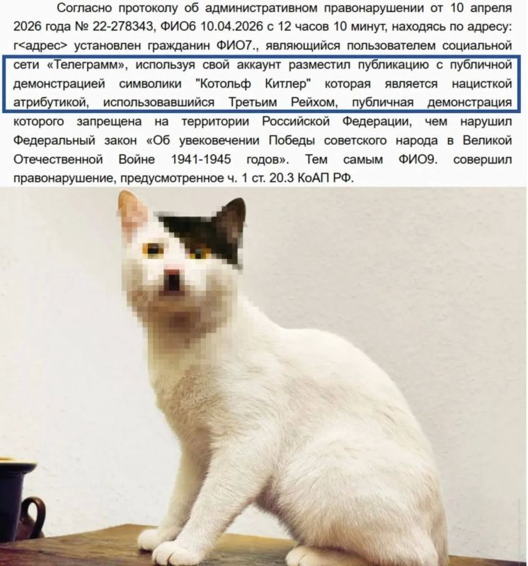 ������ ���� � ����. ��� � ���� ���������� ������� �� 1000 ������ �� ���������� ����