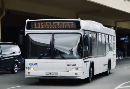 ������ ����, ����!. �����