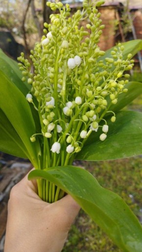 � ������ �� 22 ������ . � ������������� ���� ������� � ������������