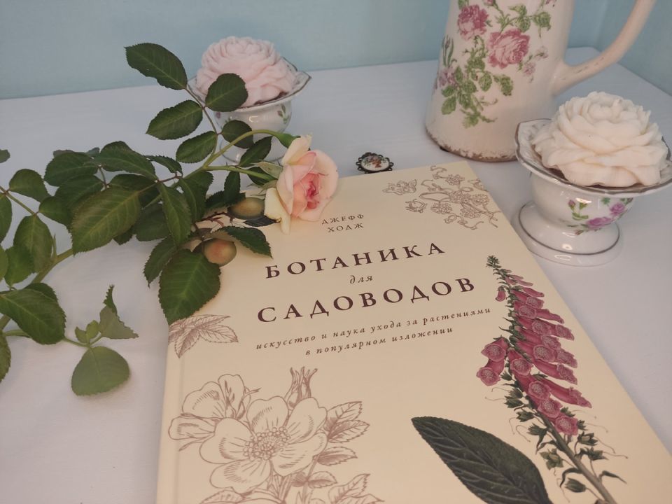 ����� ����� �� ����: ����������� ��� ���������