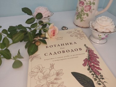 ����� ����� �� ����: ����������� ��� ���������