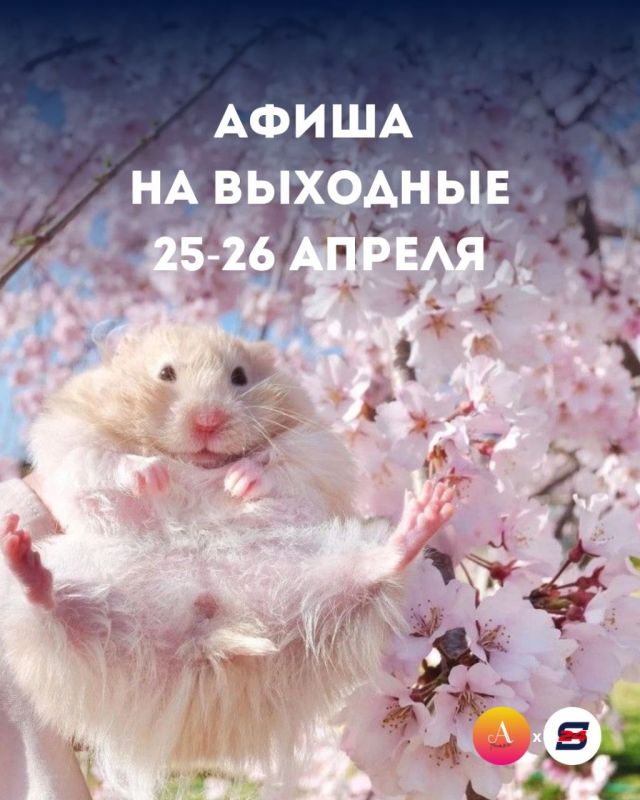 ���� ������� �� �������� 25-26 ������?