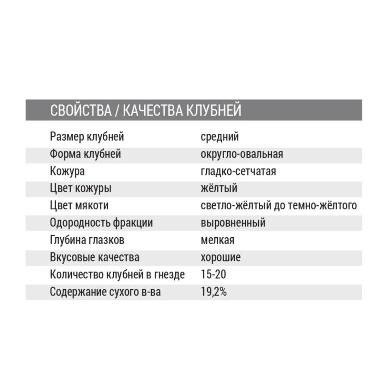 ��� ����� �� ������������� ����� ����?