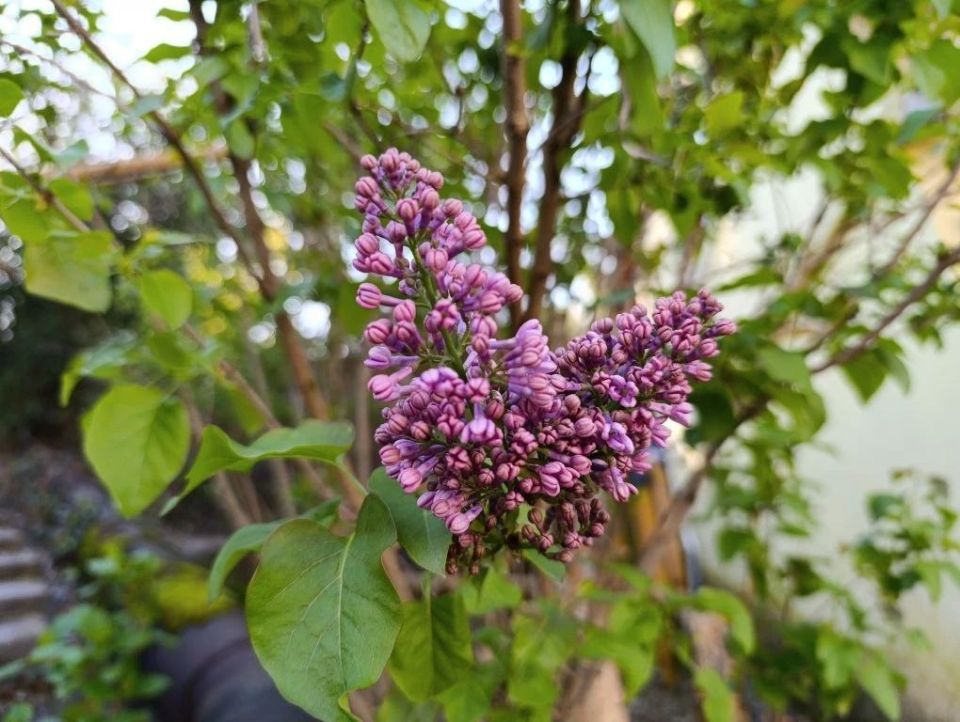 ������ ����, ������� ������� � ����� �������!