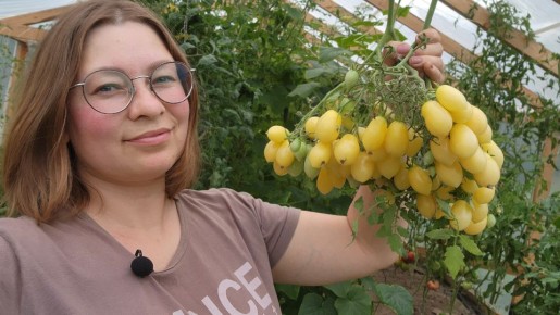 ��������� ���� �������, ������� ������������ ������� � ������