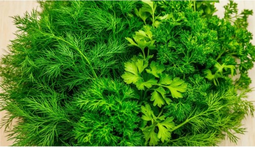 ��� ��������� ������ ������ �� ����: 10 ������� � ����������� �������