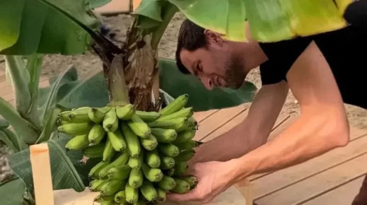 � ���� ��������� ������ ������