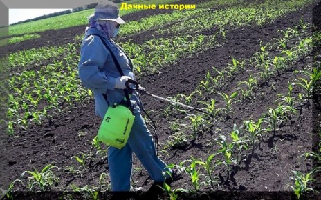 �������� ���������: ��� �������� ������������ ������ �� ����� ��������