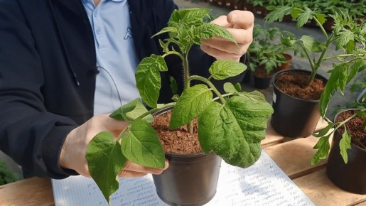 ������: ��� ������� ���������� ���� ��� ������ �������