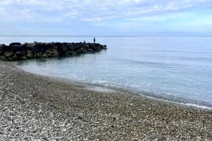 ������ ��������: ����������� ������ � ������ ����������� ����� �������� ������������: ��������� ������� ������, � ���������� � ���� � ��������� ������������� � ��������������