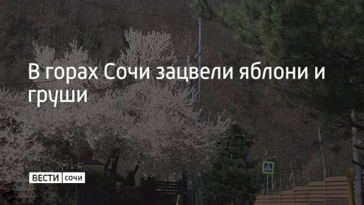 � ����� ���� ������� ������ � �����