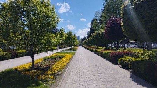 � ������ �� 29 ������ . � ������������� ���� ���������� ����������