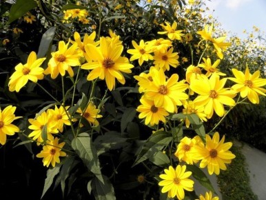 ���������� ������������ ��� �������� �������: ������������ �������� �����