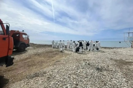 ������ ��������: ������� � ������ ������� ������ �������������� ������ ��������� ������������