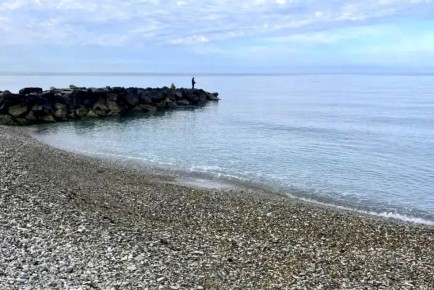 ������ ��������: ����������� ������ � ������ ����������� ����� �������� ������������: ��������� ������� ������, � ���������� � ���� � ��������� ������������� � ��������������