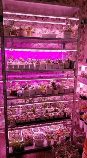 ���������� ����������� � �������� � �� �����